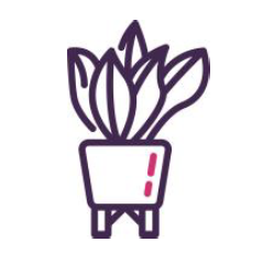 plants